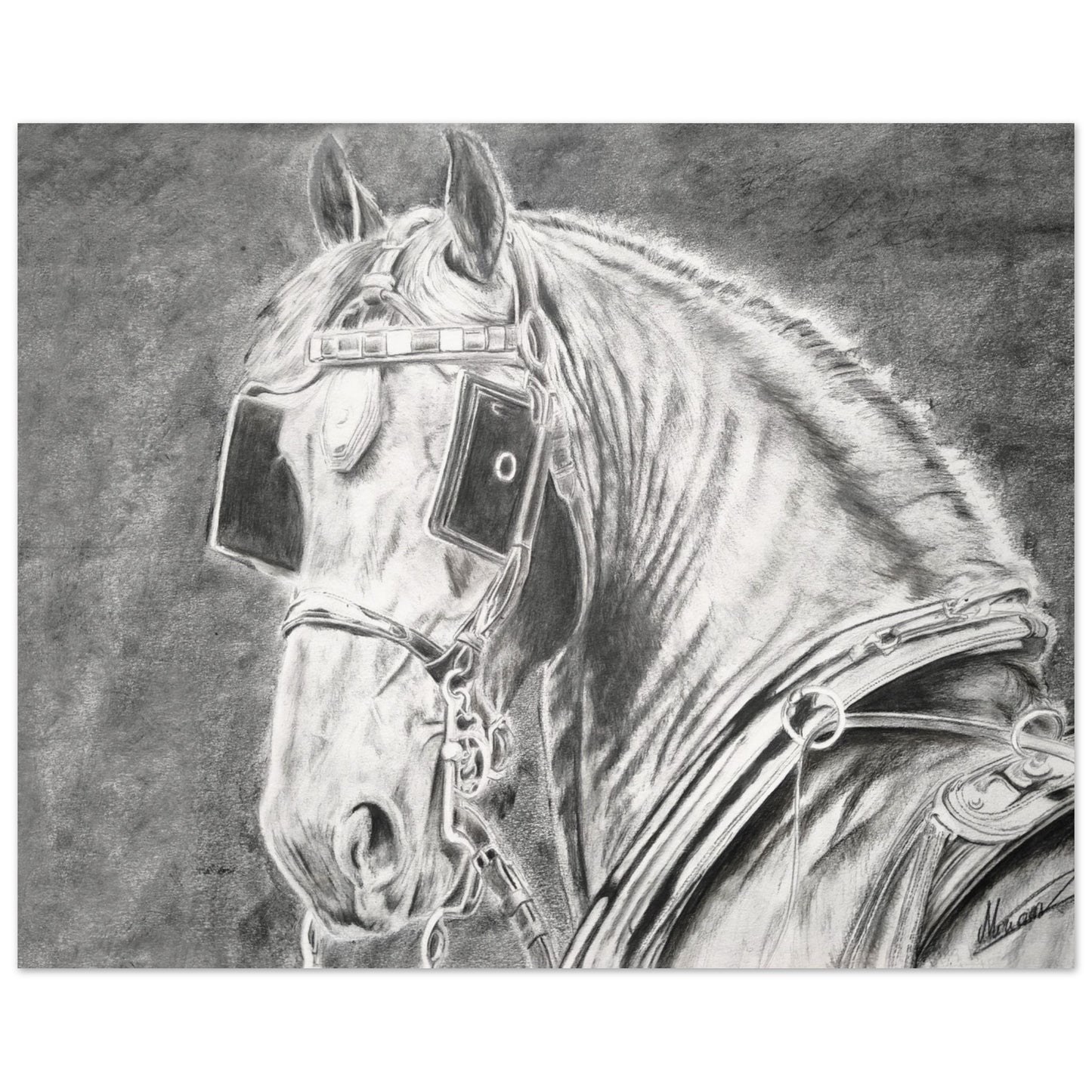 80f3e796-18d1-42a7-8195-0132b5865ac8