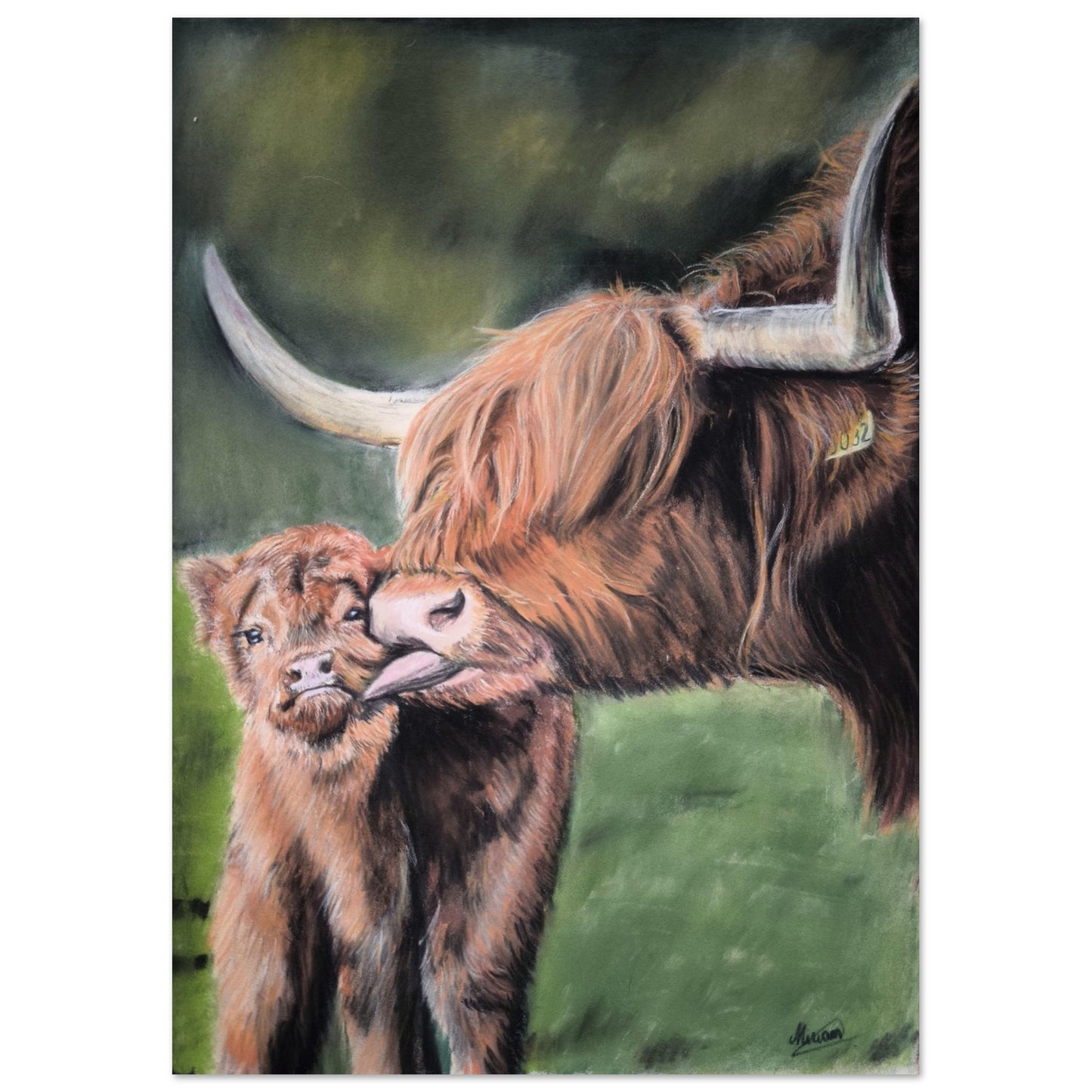 8b0cd0c5-b0dd-491f-92f9-2a43c0bad6a6