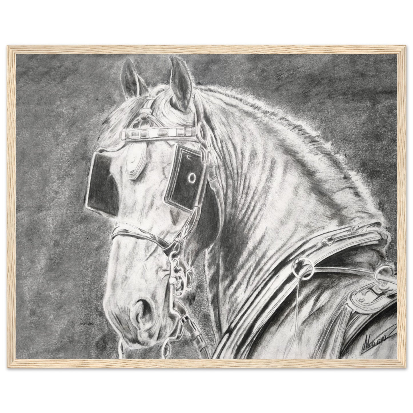 d5b66aed-38d7-4418-b94a-a8cdd1f41794