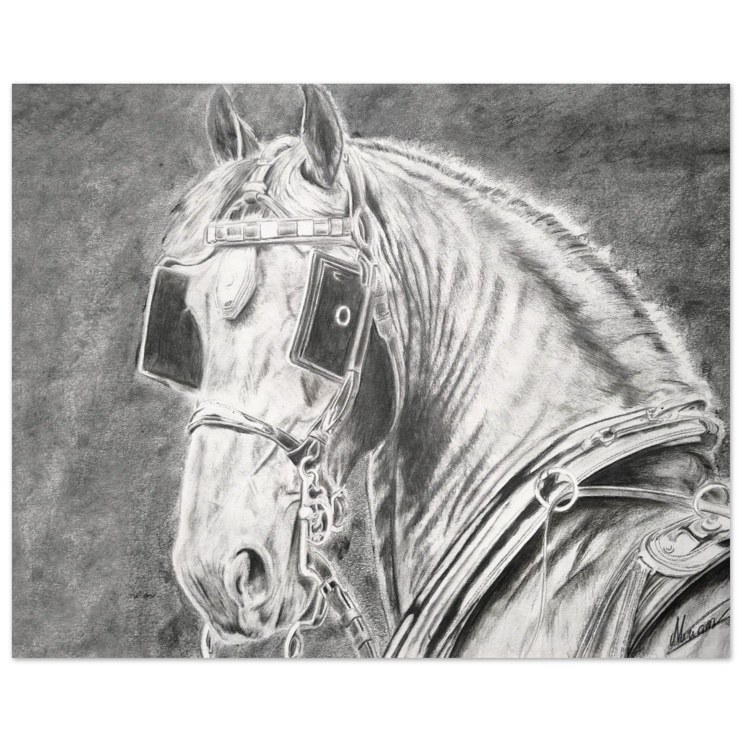 e0b2907f-72b5-46c7-af2f-5f481b3e726c