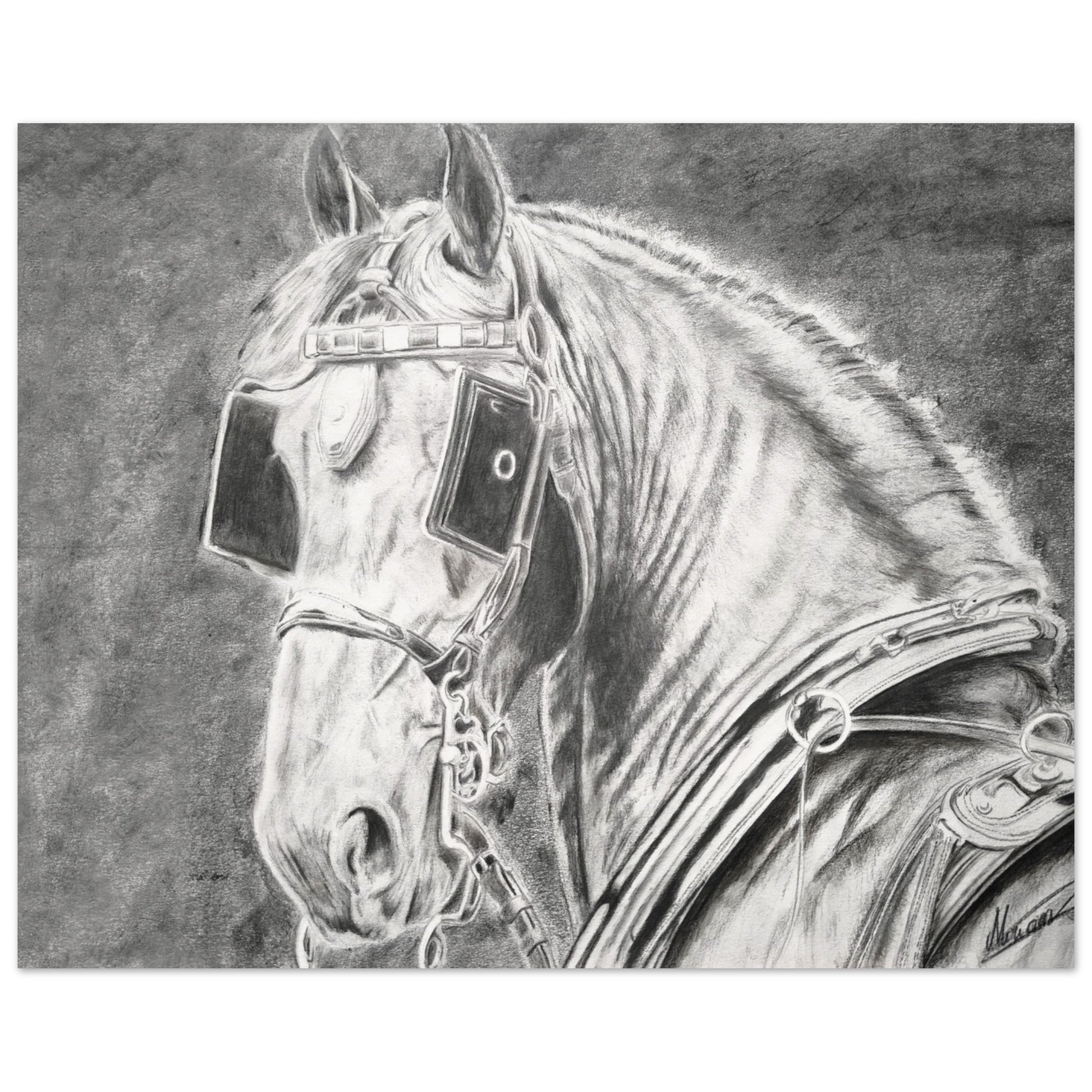 e0b2907f-72b5-46c7-af2f-5f481b3e726c