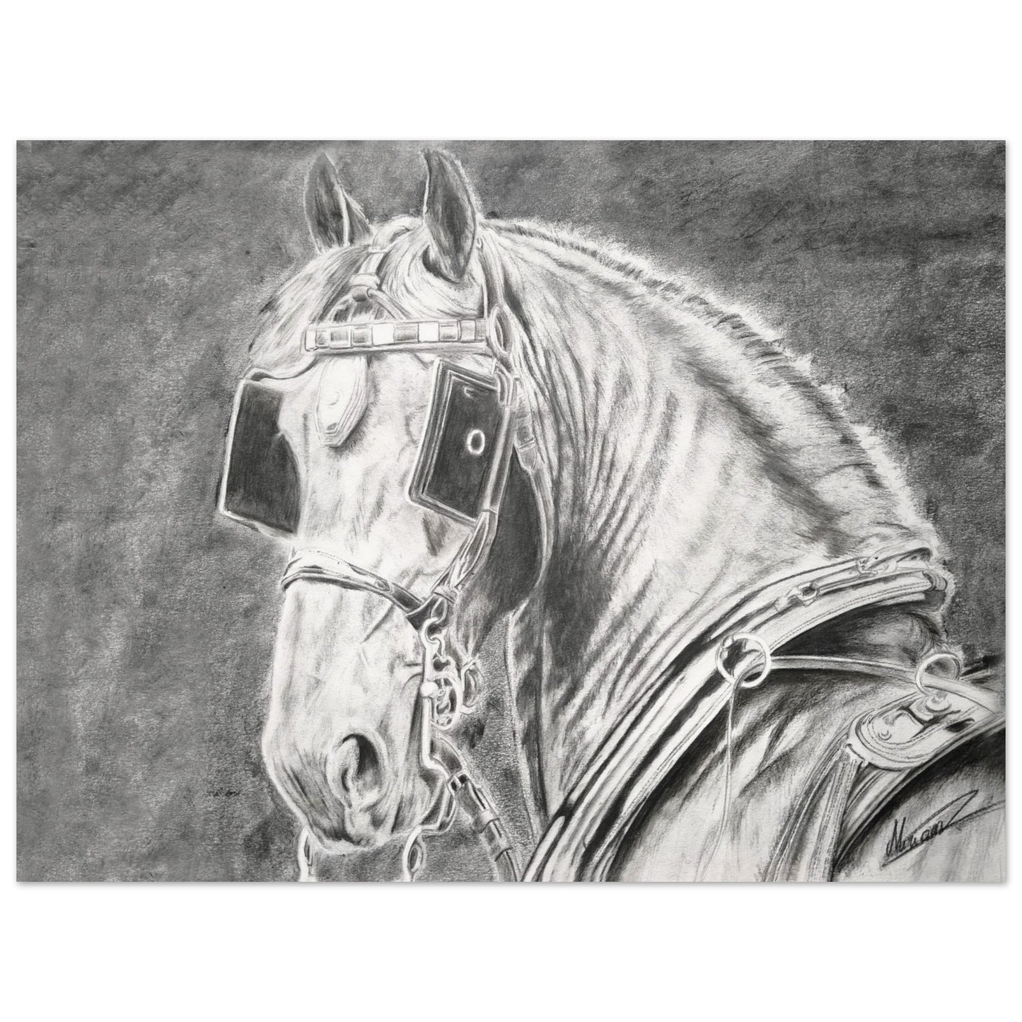 fb5235f8-ce88-4909-a3d8-c222beb62a54