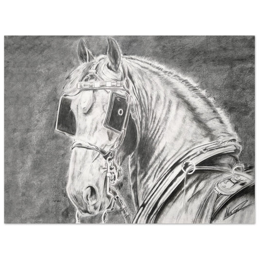 fb5235f8-ce88-4909-a3d8-c222beb62a54